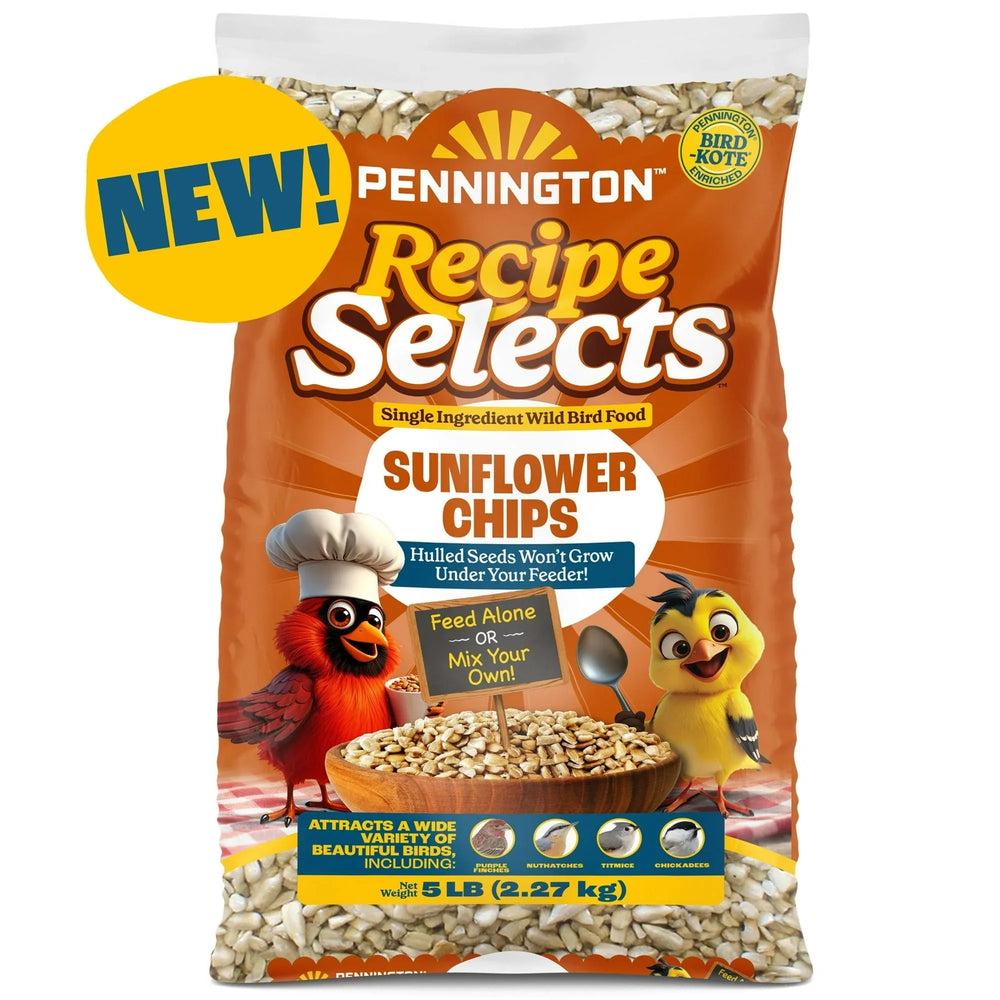 Pennington Recipe Selects Sunflower Chips, Dry Wild Bird Food and Seed, 5 lb. Bag, 1 Pack - USA MEGA SHOP