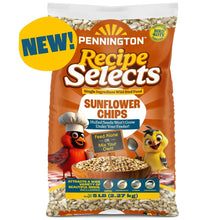 Sunflower chips wild bird food bag with front label and illustrated birds