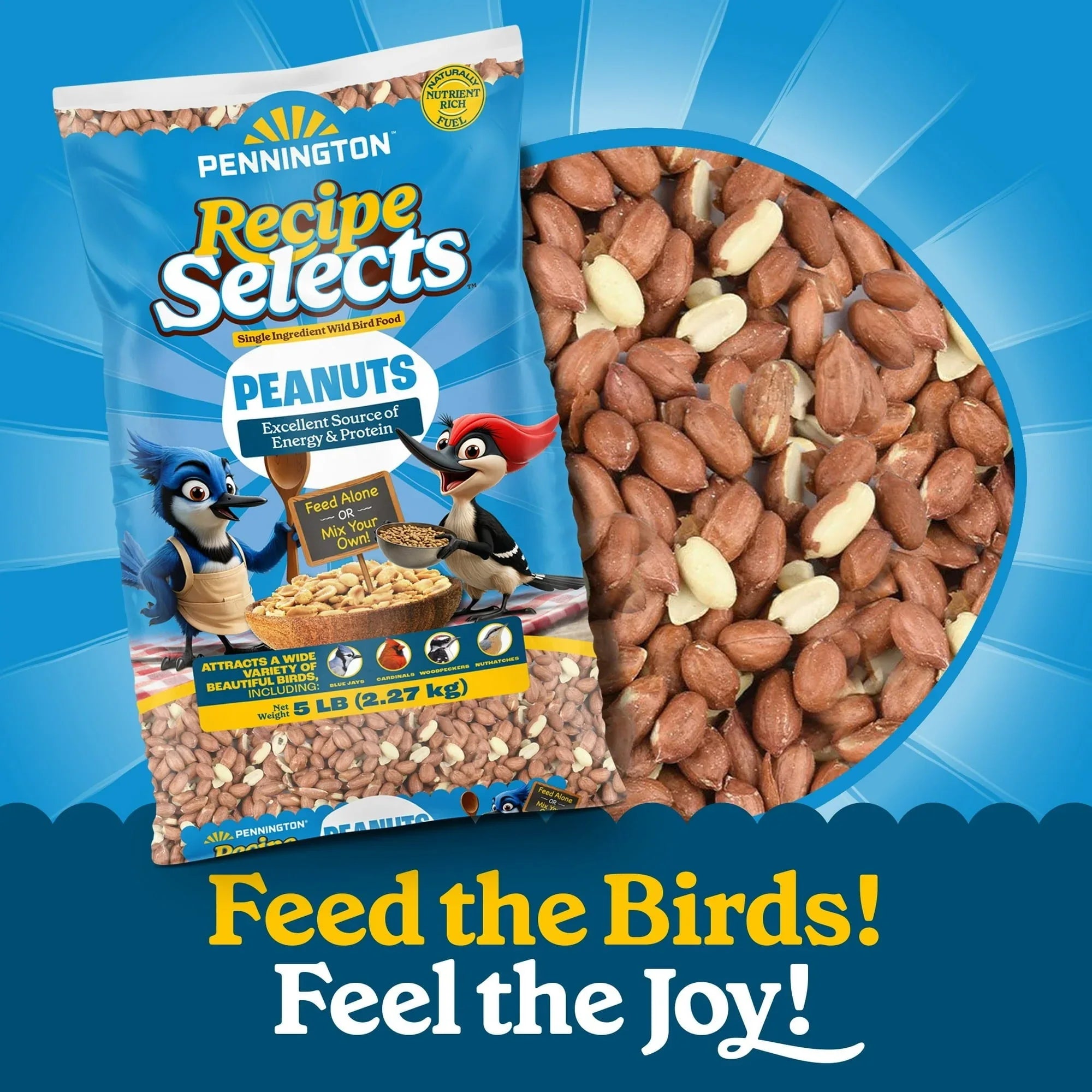 Pennington Recipe Selects Shell Free Whole Peanuts for Birds and Wildlife, Wild Bird Food, 5 lb Bag, Dry - USA MEGA SHOP