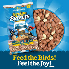 Shell free peanuts for birds shown in a cup beside a blue peanut feed bag