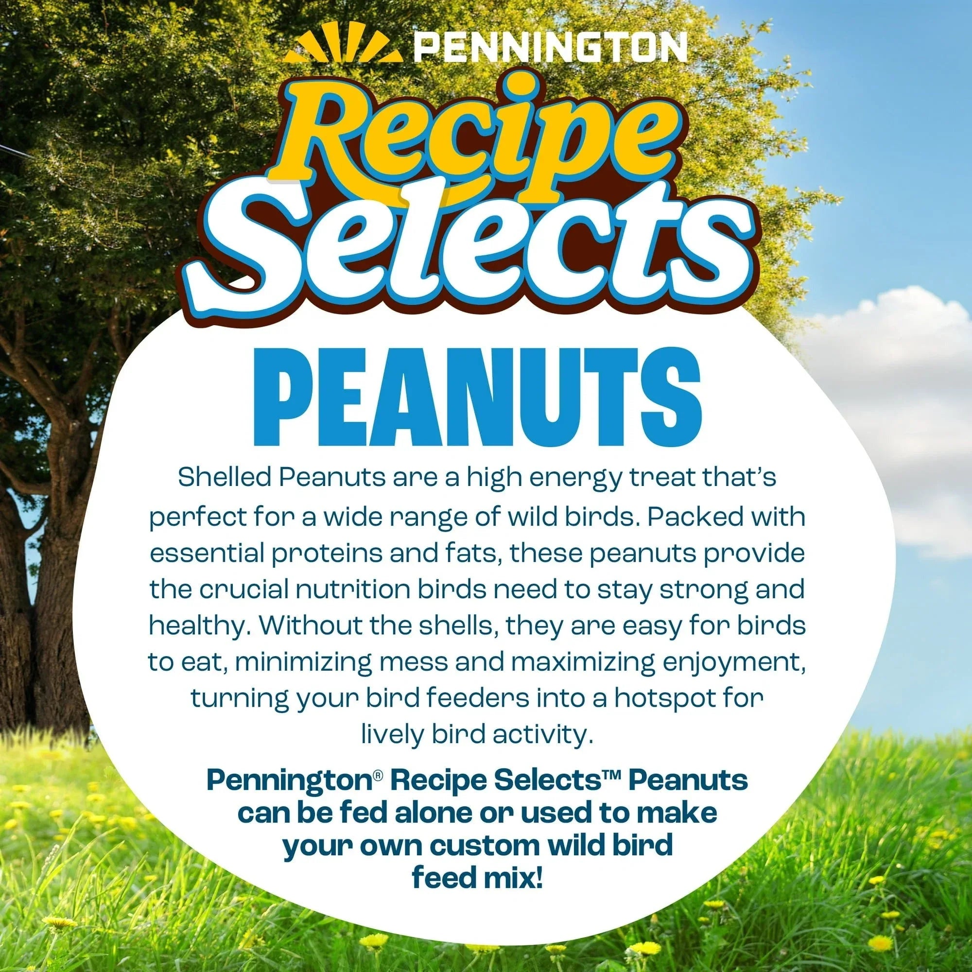 Pennington Recipe Selects Shell Free Whole Peanuts for Birds and Wildlife, Wild Bird Food, 5 lb Bag, Dry - USA MEGA SHOP