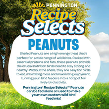Bird peanut feed bag with an info panel describing shell-free peanuts for wild birds