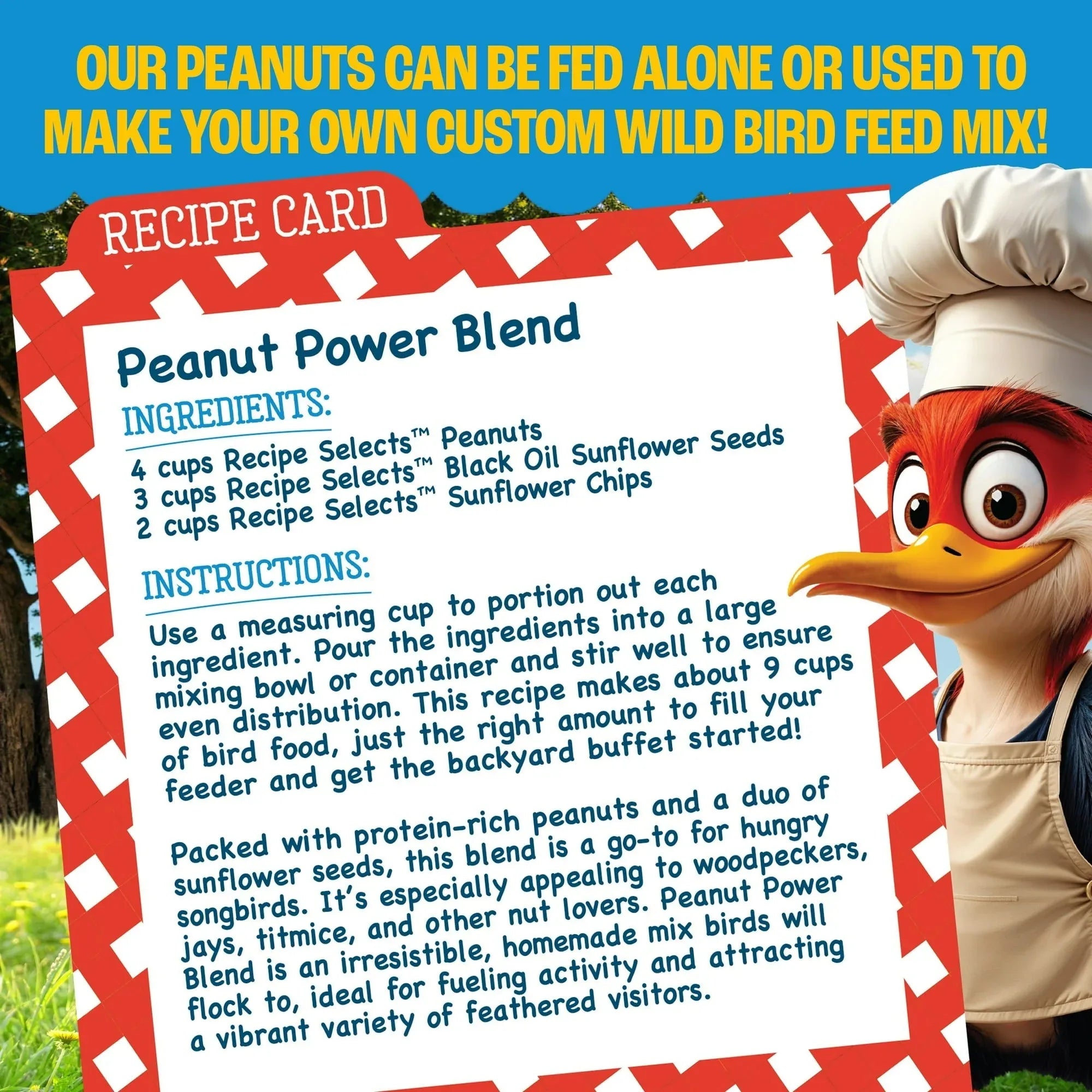 Pennington Recipe Selects Shell Free Whole Peanuts for Birds and Wildlife, Wild Bird Food, 5 lb Bag, Dry - USA MEGA SHOP