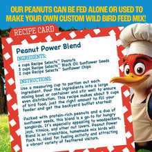 Recipe card graphic for a peanut blend bird feed with ingredient and instruction list