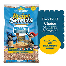 Bird peanut feed bag with shell free peanuts, blue package with feeding options callout