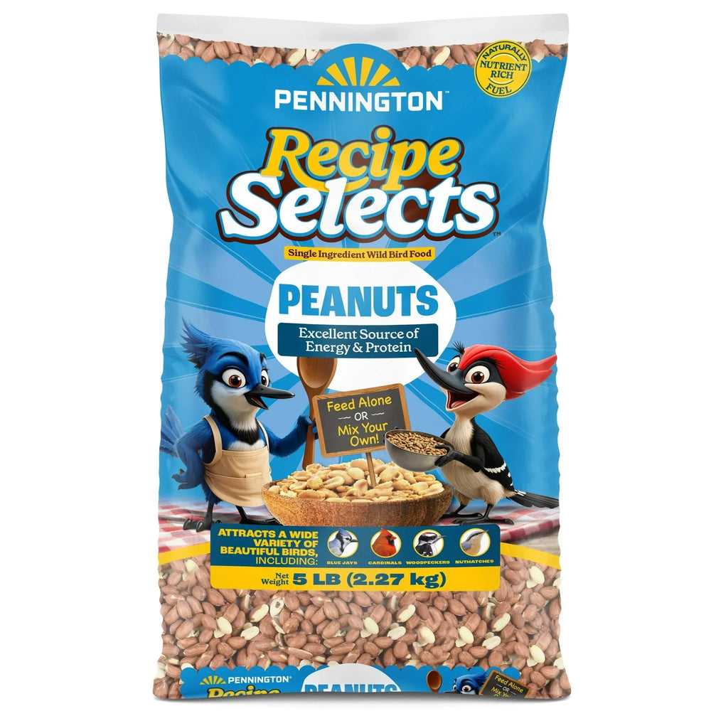 Pennington Recipe Selects Shell Free Whole Peanuts for Birds and Wildlife, Wild Bird Food, 5 lb Bag, Dry - USA MEGA SHOP