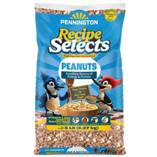 Bird peanut feed bag featuring shell free peanuts, blue package front with illustrated birds