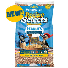Bird peanut feed bag with shell free peanuts, blue package with illustrated birds and peanut pieces