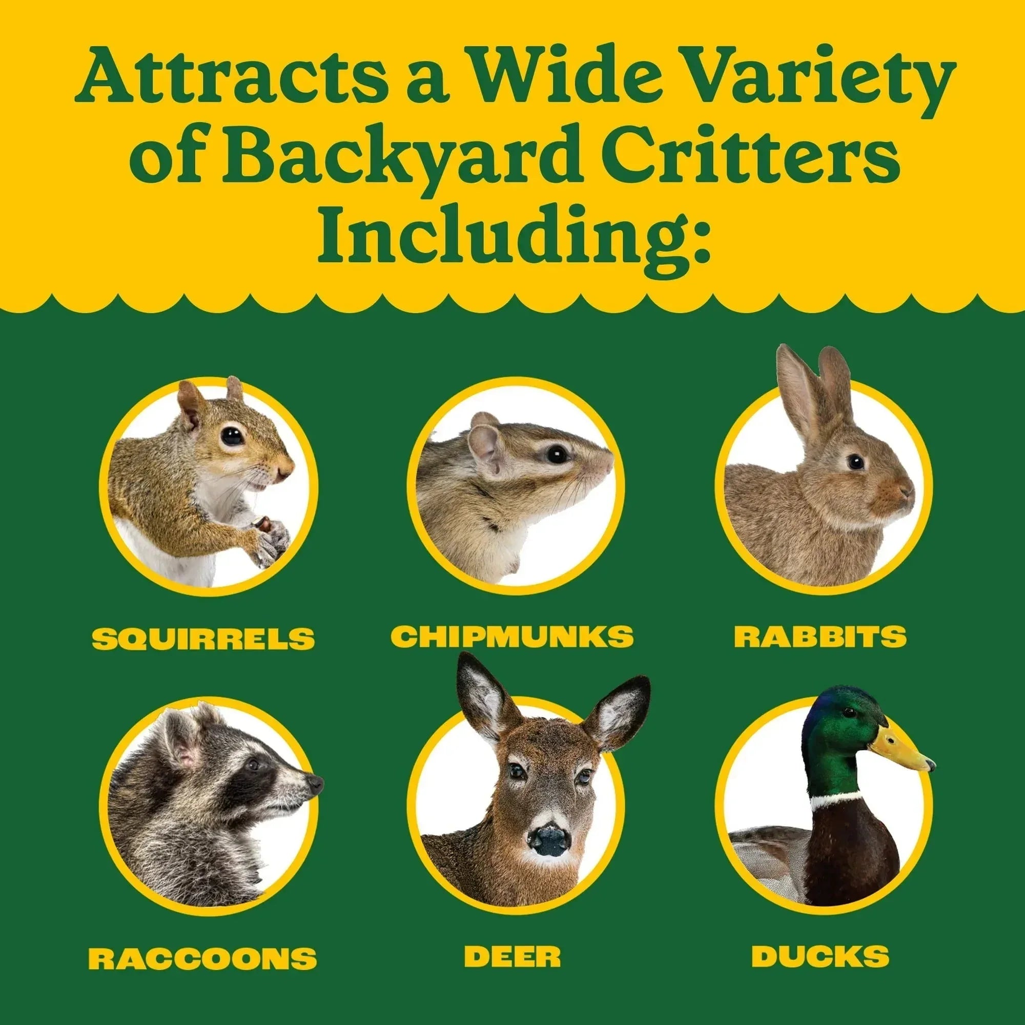 Pennington Classics Squirrel & Critter Blend Wildlife Food - USA MEGA SHOP
