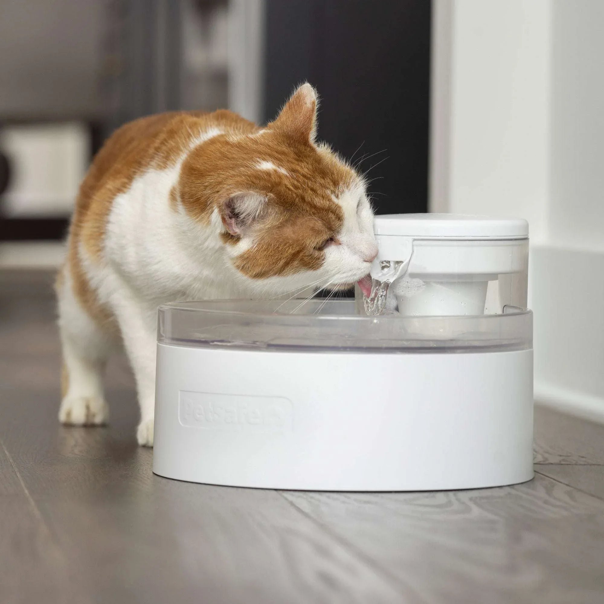 PetSafe Outlast 90 oz Cat Water Fountain, Bundle - USA MEGA SHOP