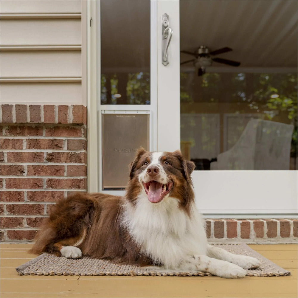 PetSafe Sliding Glass Pet Door, 2-Piece, Large - USA MEGA SHOP