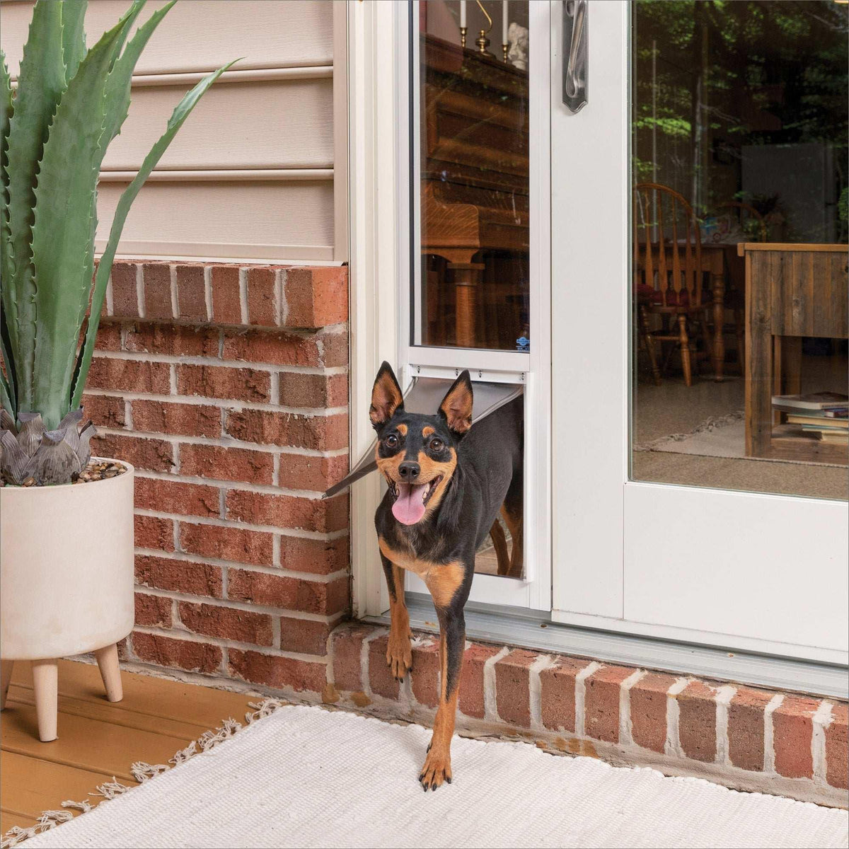 PetSafe Sliding Glass Pet Door, 2-Piece, Medium - USA MEGA SHOP