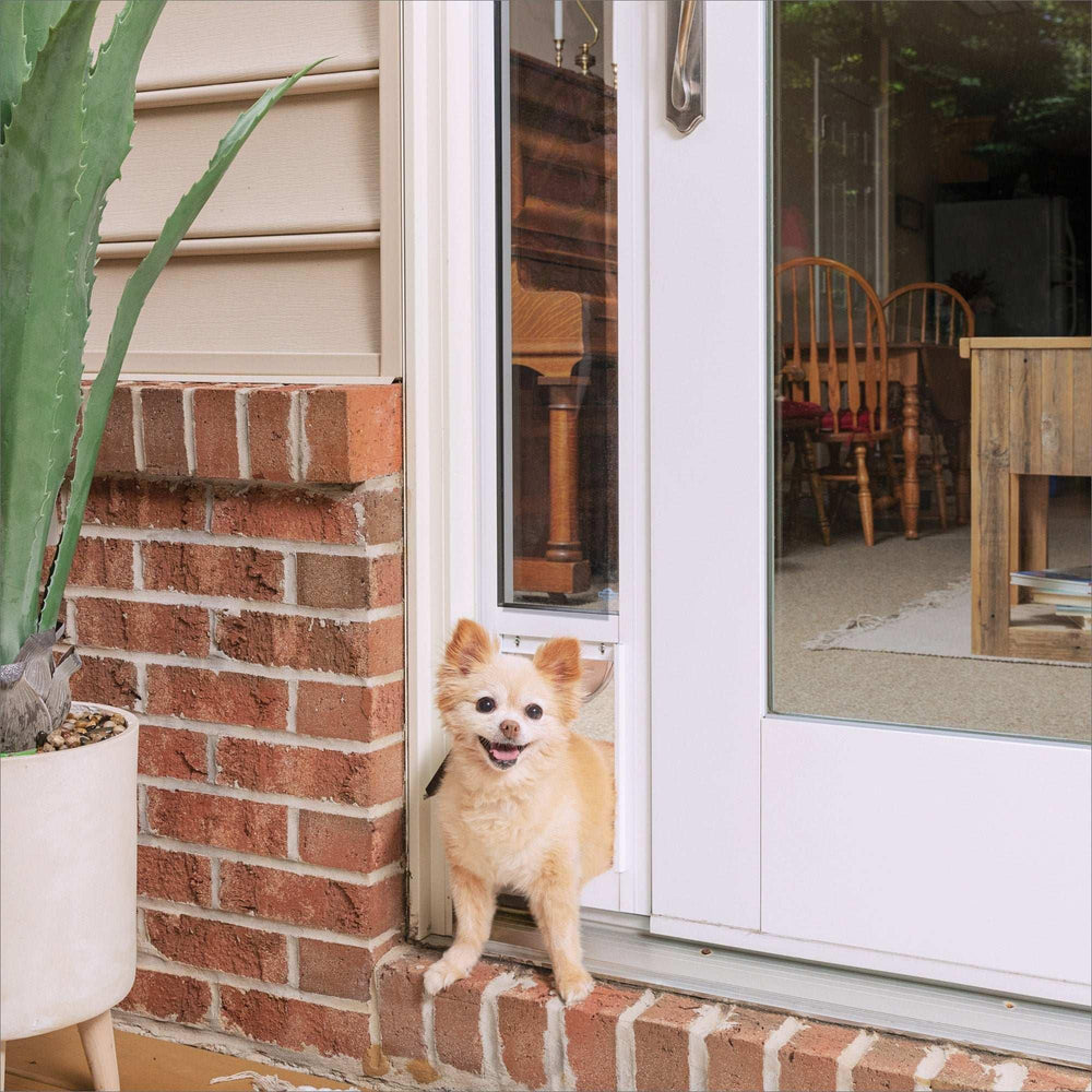 PetSafe Sliding Glass Pet Door, 2-Piece, Small - USA MEGA SHOP