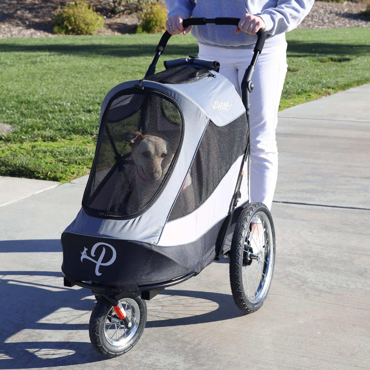 Petique Trailblazer Gray Pet Jogger with Accessory Bundle - USA MEGA SHOP