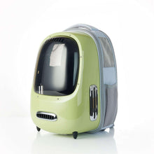 Green cat carrier with side ventilation grille, clear dome window, carry strap