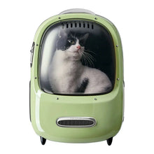 Green cat carrier with clear front window showing a sitting cat