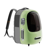Green and gray pet carrier with side ventilation grille, clear window, carry handle