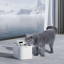 Pet drinking fountain with cat drinking from the small bowl