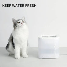 White smart pet water fountain with clear top and steady water flow bowl