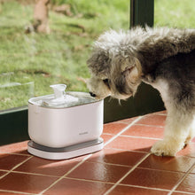 Cordless pet water fountain outdoors with white tank, spout, and dark base ring