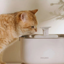 Cordless pet water fountain with recirculating spout and stainless water bowl