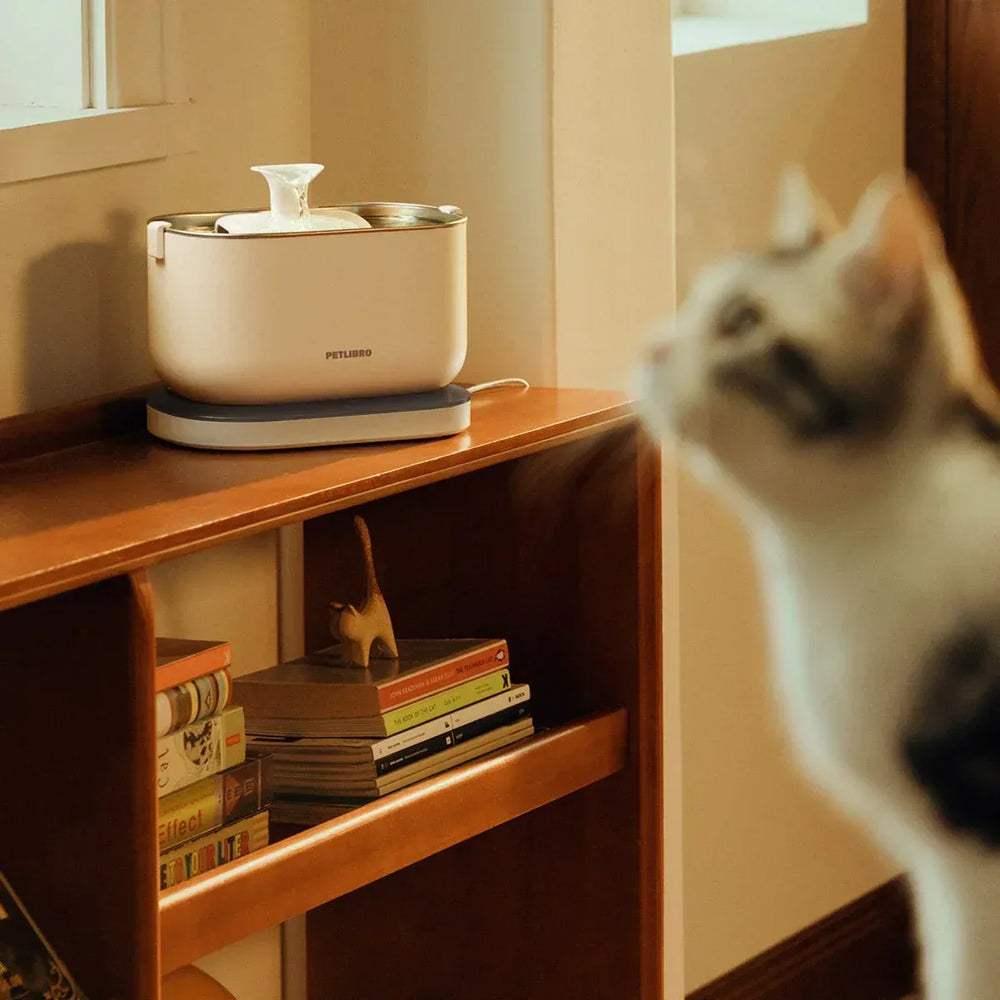 Petlibro Cordless Pet Water Fountain - USA MEGA SHOP