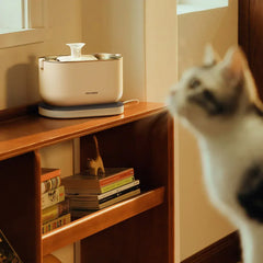 Petlibro Cordless Pet Water Fountain - USA MEGA SHOP