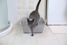 Grey plastic jumbo open-top cat litter box with low front sides for easy access