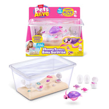Interactive turtle surprise set with purple mother turtle toy in clear water tank