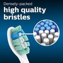 Replacement brush head with dense bristles in teal and blue