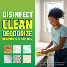 Disinfect, clean, and deodorize multi-surface cleaner on various surfaces panel