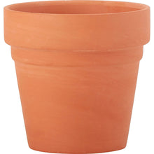 Medium terra cotta flower pot with wide rim, unpainted surface