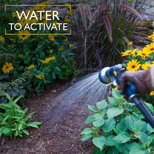 Garden weed preventer activation with watering spray over flower and mulch bed