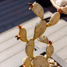 Prickly pear cactus metal sculpture with rust-brown spines on light beige pads.