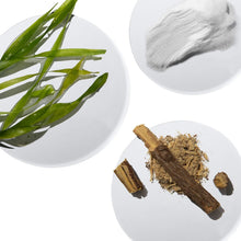 Spot fading treatment ingredients on plates: aloe leaf, cream, and licorice root pieces