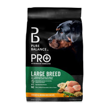 Dry dog food bag for large breeds, chicken and brown rice recipe, black and green