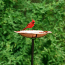 Copper standing bird bath with a red bird perched on the basin