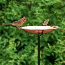 Copper standing bird bath with two perched birds on the shallow basin