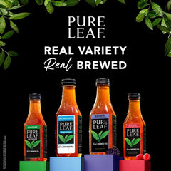 Pure Leaf Real Brewed Tea Raspberry Pack, 16.9 fl. oz., 18 pk.