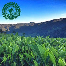 Rainforest Alliance certified tea plant leaves