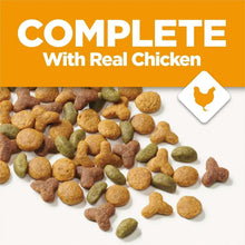 Dry cat food kibble, mixed brown and green pieces