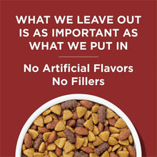 Purina Dog Chow bag panel: no artificial flavors, no fillers