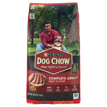 Purina Dog Chow adult dry dog food bag, beef flavor