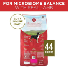 Purina ONE dog food bag back panel with gut + immune health and 44 pounds