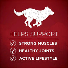 Dog health benefits graphic with strong muscles, healthy joints, and active lifestyle icons.