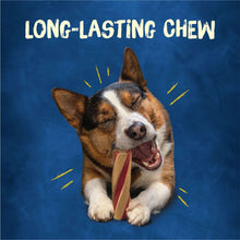 Long-lasting chew dog treat with a corgi holding a twist chew bone
