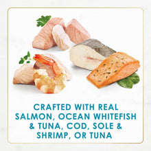 Cat wet food serving tray with salmon, ocean whitefish, tuna, cod, sole, shrimp slices and herbs