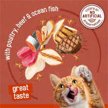 Cat food variety pack panel with beef, ocean fish illustrations and cat face