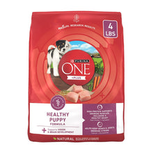 Purina ONE Plus healthy puppy dry dog food bag, 4 lb, red chicken graphic