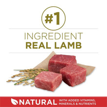 Lamb and rice dog food pieces with #1 ingredient real lamb badge
